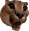 FloppaShock emote for Discord