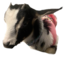 FloatingFent emote for Discord