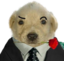 flodog emote for Discord