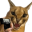 FloppaPointingGun emote for Discord