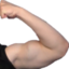 flygunMUSCLEL emote for Discord
