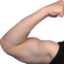 flygunMUSCLE emote for Discord
