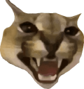 FloppaScary static emote for Discord, Twitch and Slack