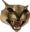 FloppaScary emote for Discord