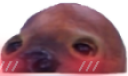 FlushedMursuLurk static emote for Discord, Twitch and Slack