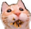 Flygva emote for Discord