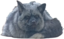fluffball emote for Discord