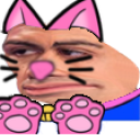 FladgeMeow static emote for Discord, Twitch and Slack