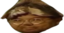 FlootWIDE emote for Discord