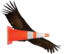 flyingcone emote for Discord