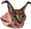 floppaSlay emote for Discord