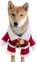 flokiChristmas static emote for Discord, Twitch and Slack