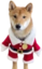 flokiChristmas emote for Discord