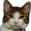 FlickStare emote for Discord