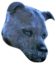 Fluffy emote for Discord