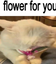 florparati emote for Discord