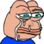 FlepeCRY emote for Discord