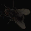Flyboy emote for Discord