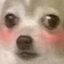 flushedDog emote for Discord