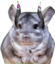 flipchillin emote for Discord
