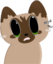 FluffyMeow emote for Discord