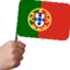 flagPortugal emote for Discord