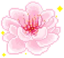 flowersglitter emote for Discord