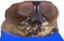 Flyyme emote for Discord