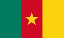 flag_cameroon static emote for Discord, Twitch and Slack