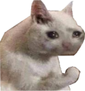 FlexCat static emote for Discord, Twitch and Slack