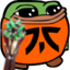 FNATIC emote for Discord