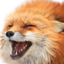 FoxKekw emote for Discord