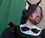 forsenCatMaid emote for Discord