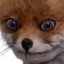 foxponB emote for Discord