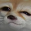 foxE emote for Discord