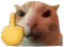fokyo emote for Discord