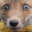 foxShook emote for Discord