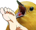 footBirdo static emote for Discord, Twitch and Slack