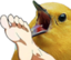 footBirdo emote for Discord