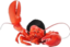 fobmLobster emote for Discord