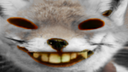 foxdd static emote for Discord, Twitch and Slack