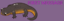 FirstTimeNewt emote for Discord