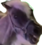 FitnaGaul emote for Discord