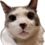 FinnDerp emote for Discord