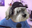 FixxDog emote for Discord