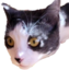 FinnPeak emote for Discord