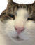 figarUuh emote for Discord
