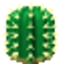 FileCactuspng emote for Discord