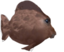 fishsideye emote for Discord