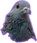 fifi1 emote for Discord